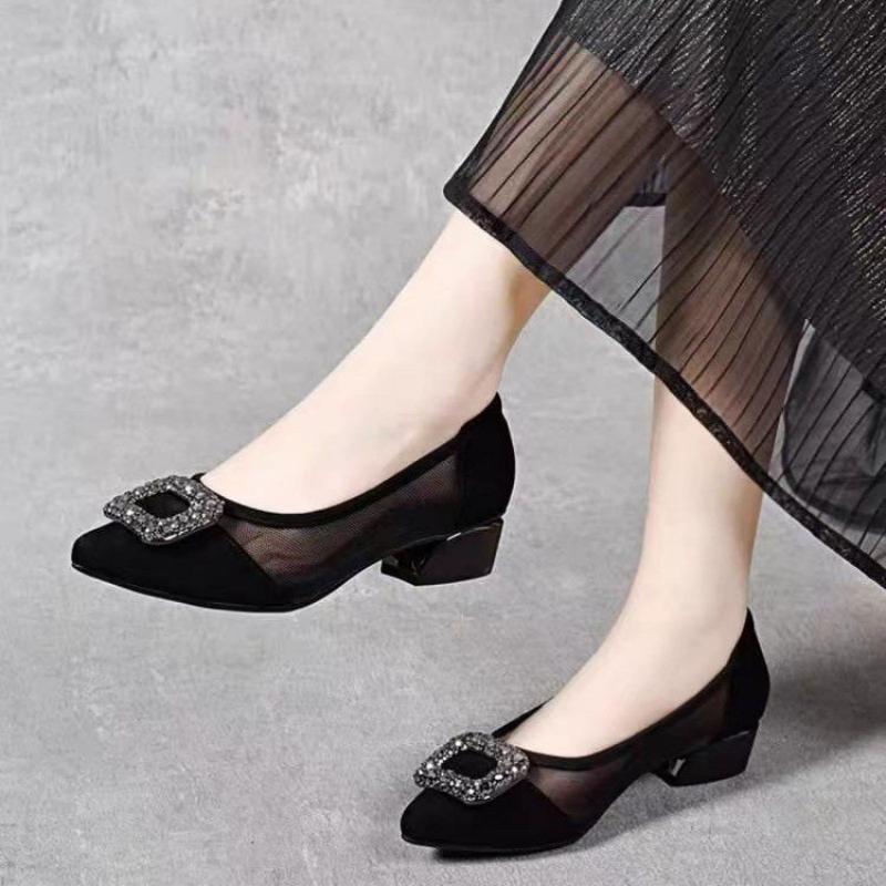 Women Shoes Elegant - Elegant Pointed Toe Mesh Block Heel